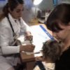 Областные запасы вакцины против краснухи и гепатита «Б» исчерпаны.