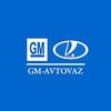 GM-AVTOVAZ    16%