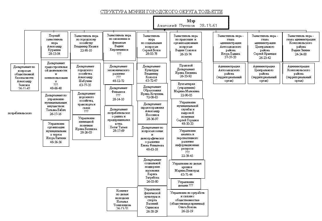 Мэрия схема. Структура мэрии Новосибирска. Организационная структура мэрии Новосибирска. Структура администрации городского округа Тольятти. Структура мэрии Новосибирска схема.