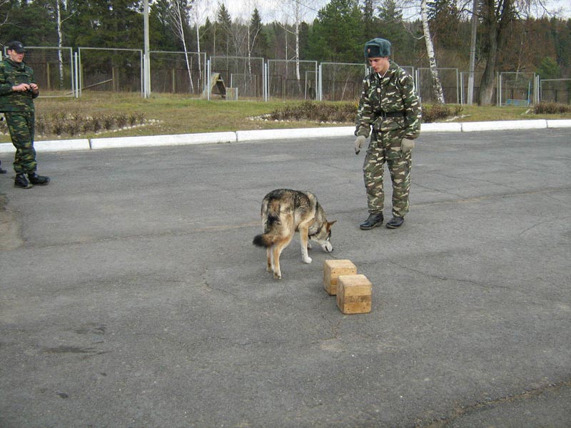 Гдз дидактические материалы е марон Гдз дидактические материалы е марон