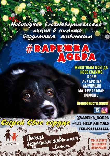 акция варежка добра