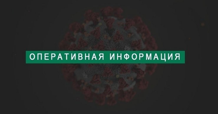 оперативная информация