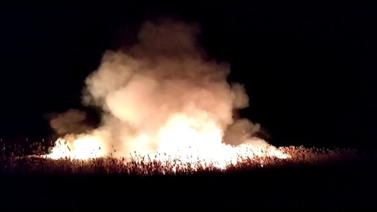 Природный пожар в Самарской области