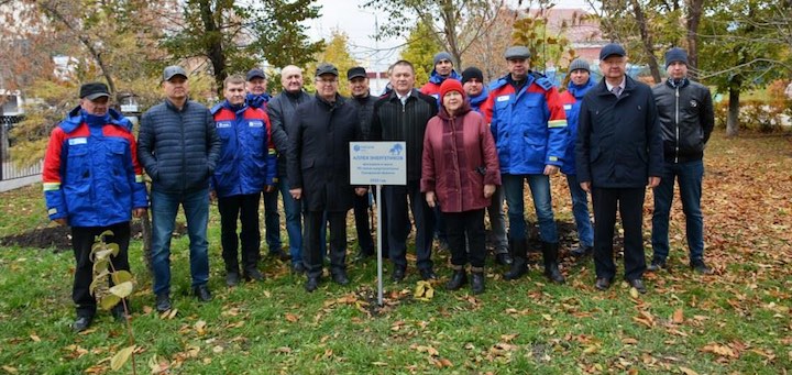 Посадка деревьев на аллее