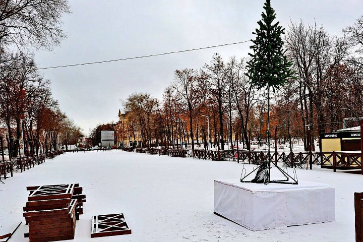 установка новогодней елки в парке