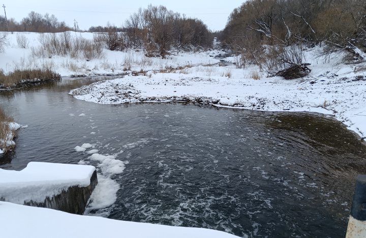 ���� ������� �����