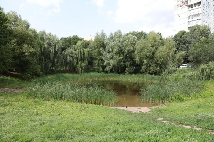 озеро дубовый колок в самаре