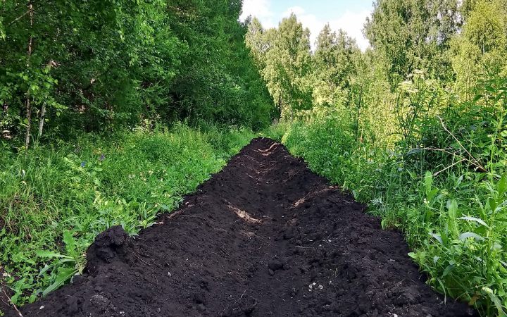 минерализованная полоса