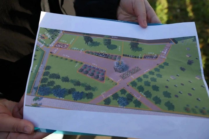 проект сквера