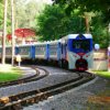 Открывается сезон железнодорожных дачных перевозок в Самарской области